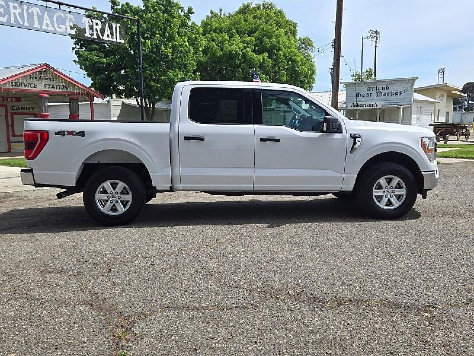 2021 WHITE /gray Ford F-150 4WD (1FTFW1E54MK) with an V8 Flex Fuel 5.0 Liter engine, Automatic 10-Spd transmission, located at 246 E Walker St., Orland, 95963, (530) 865-5800, 39.747589, -122.178398 - Photo #6