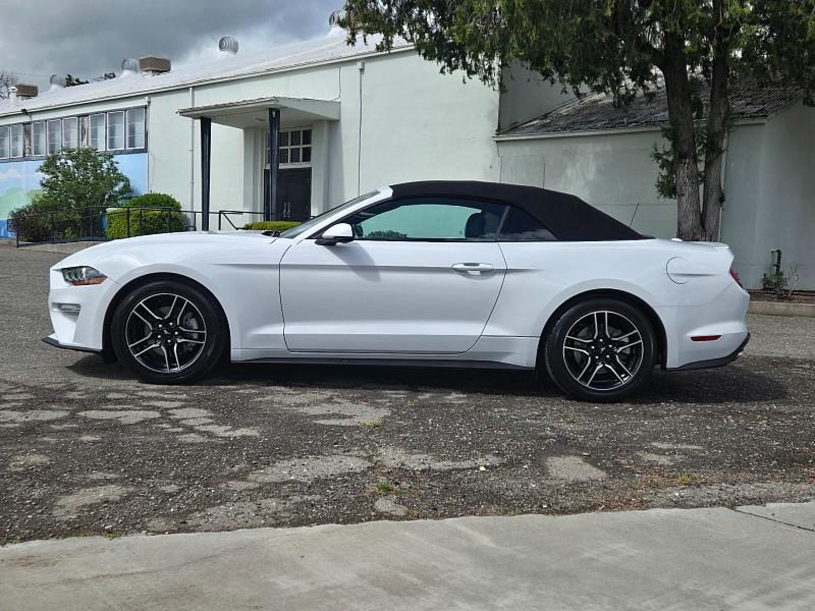 2020 WHITE /black Ford Mustang (1FATP8UH4L5) with an 4-Cyl Turbo EcoBoost 2.3 Liter engine, Automatic 10-Spd w/SelectShift transmission, located at 246 E Walker St., Orland, 95963, (530) 865-5800, 39.747589, -122.178398 - Photo #3