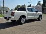 2023 WHITE Nissan Frontier (1N6ED1EKXPN) with an V6 3.8 Liter engine, Automatic 9-Spd transmission, located at 246 E Walker St., Orland, 95963, (530) 865-5800, 39.747589, -122.178398 - Photo#7