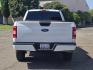 2020 WHITE Ford F-150 4WD (1FTEX1EB4LK) with an V6 Flex Fuel 3.3 Liter engine, Automatic 6-Spd w/SelectShift transmission, located at 246 E Walker St., Orland, 95963, (530) 865-5800, 39.747589, -122.178398 - Photo#5